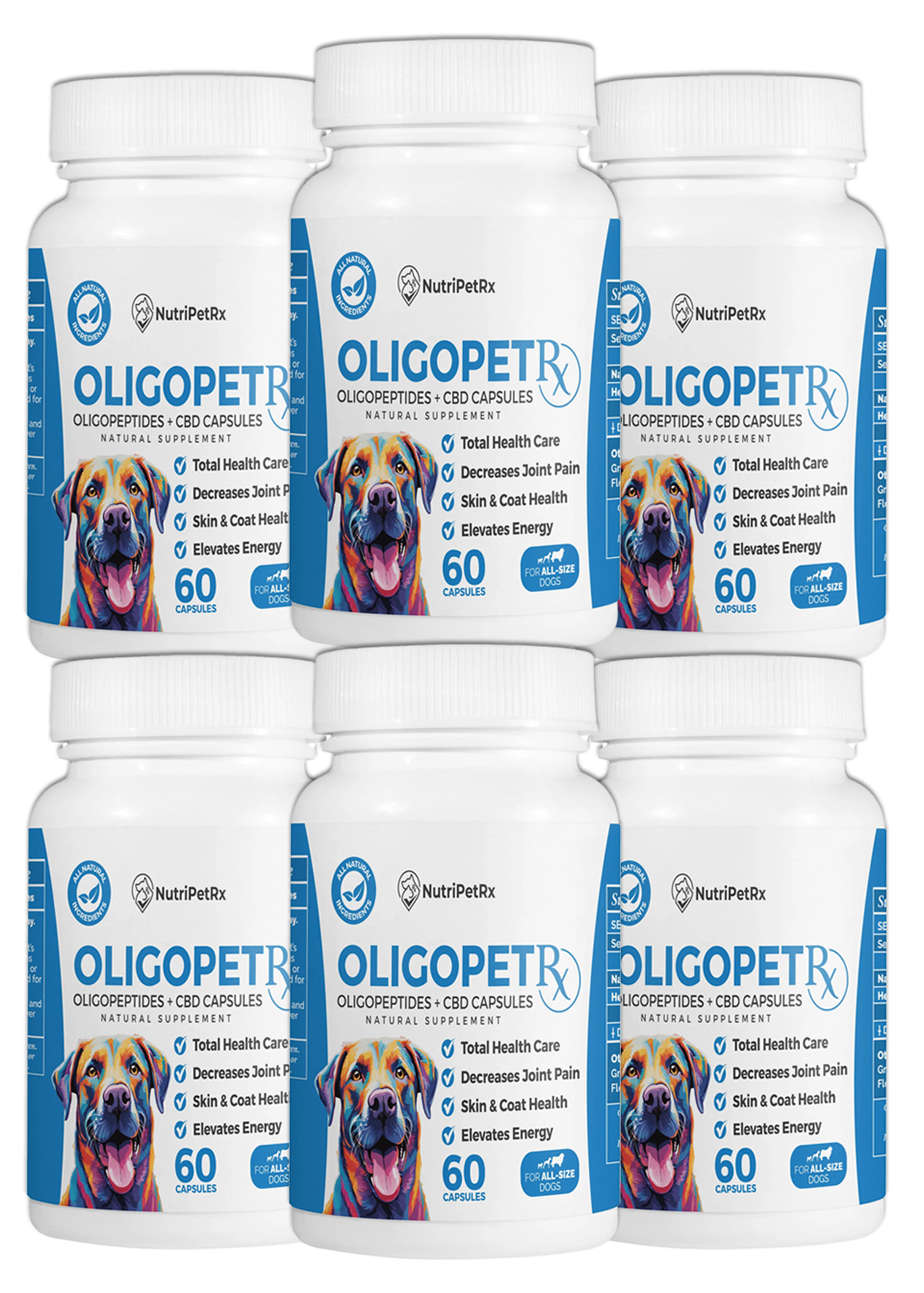 OligoPetRx